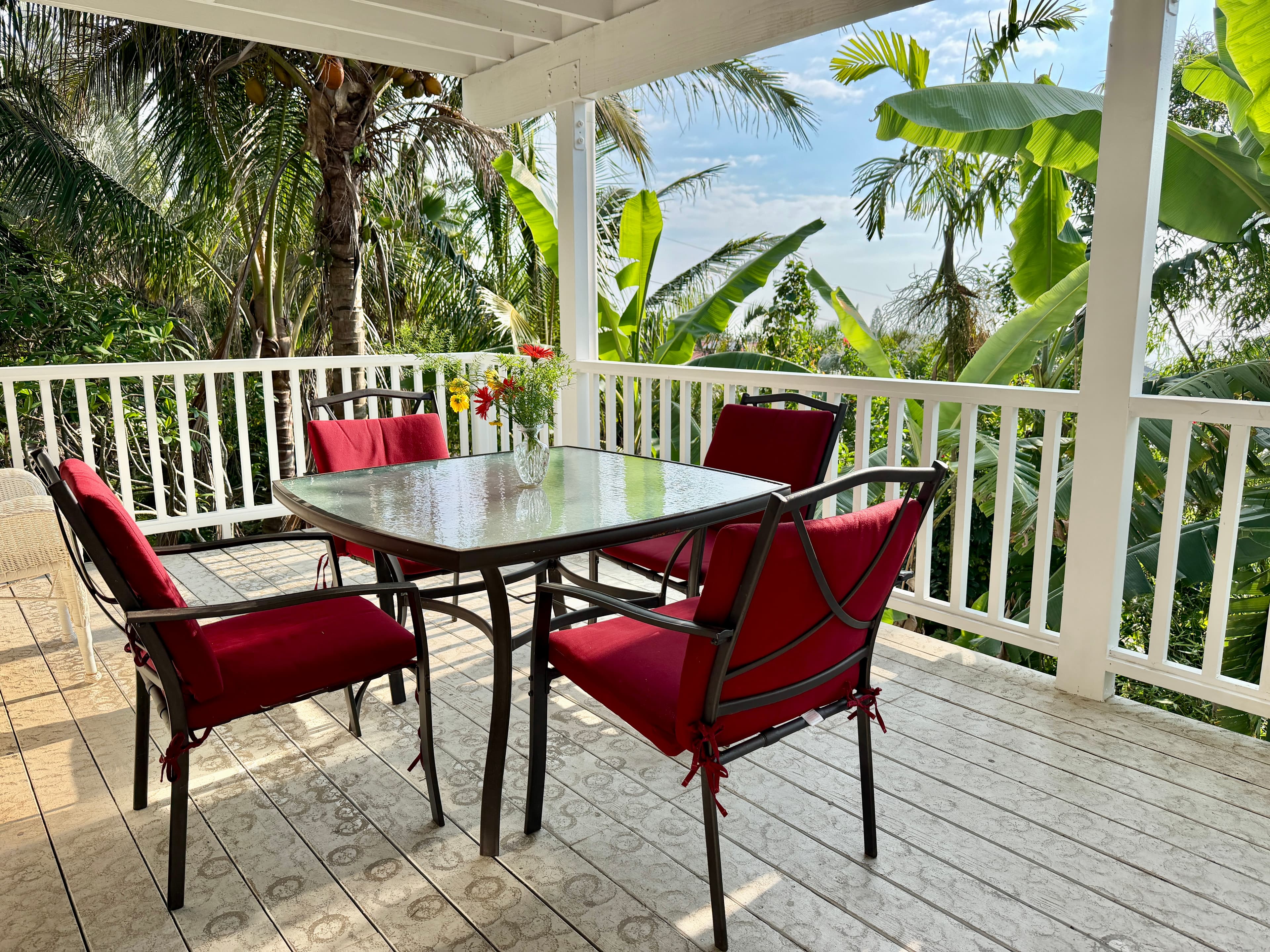 Garden View Studio